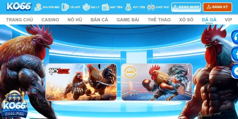 Đá gà online mới mẻ