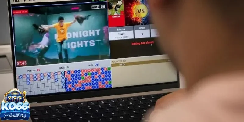 Đá gà KO66 trực tuyến là gì