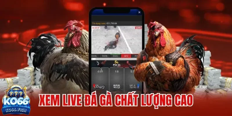 Lý do nên tham gia sảnh đá gà online