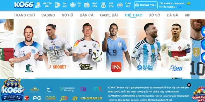 Quy trình login KO66 chơi kèo 1x2