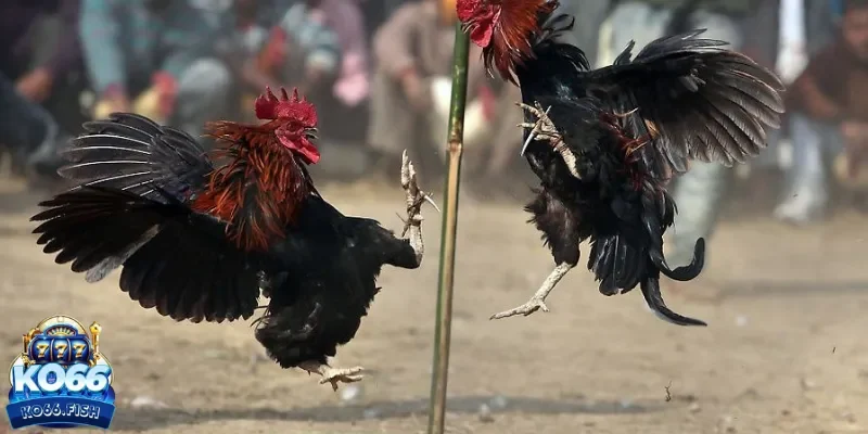 Vận dụng các mẹo gợi ý